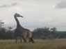 giraffe]